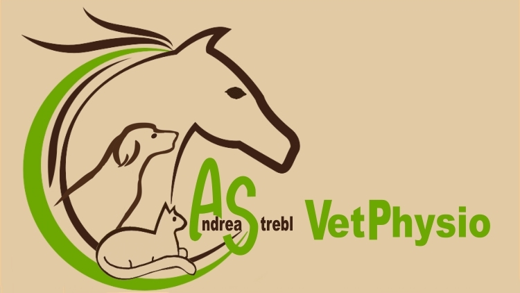 AS-VetPhysio, Pferdephysiotherapie, Hundephysiotherapie, Katzenphysiotherapie